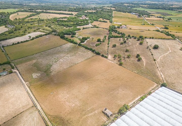 Terra a Manacor, Mallorca, Manacor - € 400.000 | Ref: JRPRB1055/3010 - foto 1