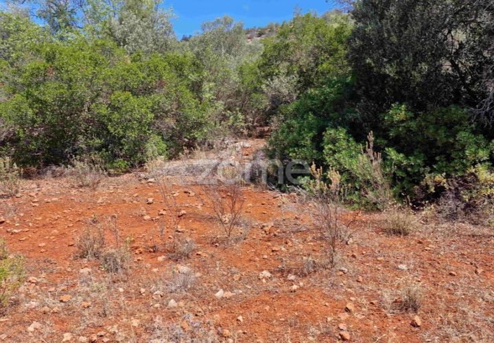 Helårsgrund i Benafim, Faro, Benafim - € 8.000 | Ref: ZMPT557840 - foto 1