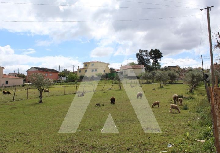 Helårsgrund i Parceiros e Azoia, Leiria, Parceiros e Azoia - € 75.000 | Ref: 1130764/23 LR - foto 1