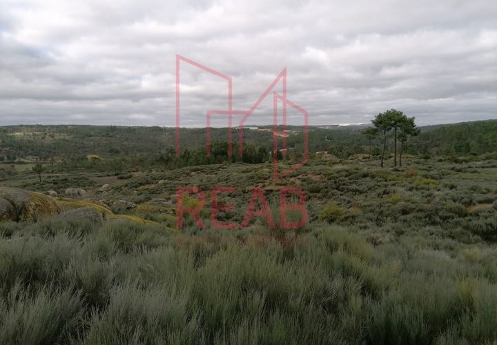Helårsgrund i Eirado, Guarda, Eirado - € 60.000 | Ref: 51/2020 - foto 1
