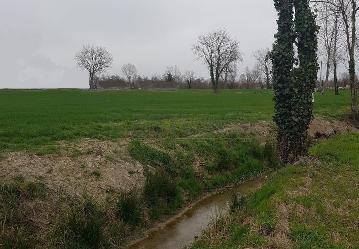 Terra a Noale, Venice, Noale - € 160.000 | Ref: BRIAV1581 - foto 1