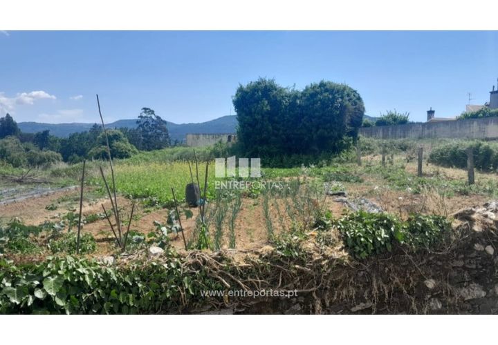 Helårsgrund i Caminha, Viana do Castelo, Caminha - € 120.000 | Ref: C02671 - foto 1