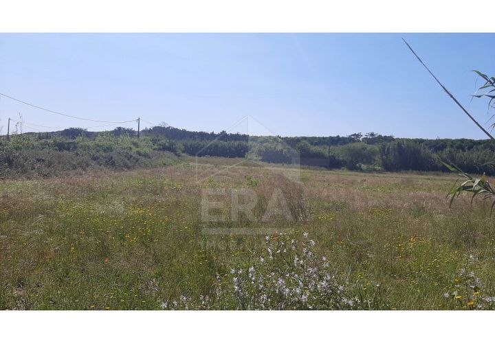 Helårsgrund i Belinho, Braga, Belinho - € 26.500 | Ref: 039230081 - foto 1