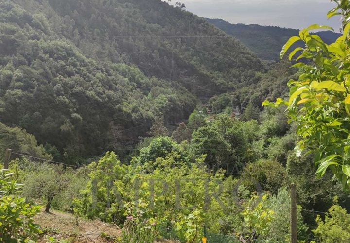 Villa i Dolceacqua, Imperia, Dolceacqua - € 510.000 | Ref: 21958 - foto 1