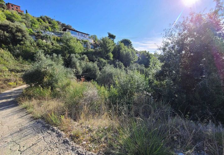 Terra a Camporosso, Imperia, Camporosso - € 45.000 | Ref: 21501 - foto 1