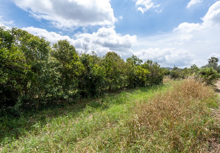 Finca i Bitem, Tarragona, Bitem - € 20 000 | Ref: 876 - foto 1