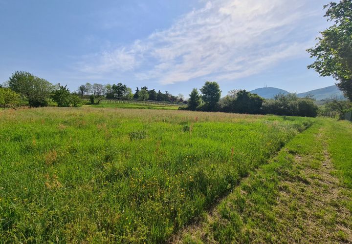 Terra a Vo', Padua, Vo' - € 60.000 | Ref: TER 233 - foto 1
