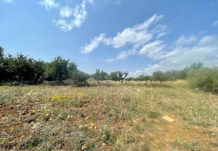 Terrain - Pollenca, Mallorca, Pollenca - € 1 200 000 | Réf : 76992 - photo 1