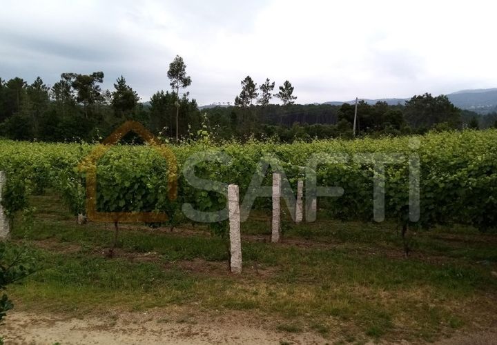 Farm i Moncao, Viana do Castelo, Moncao - € 130.000 | Ref: SAFTI:003414 - foto 1