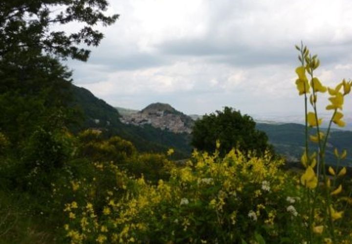 Villa i San Fele, Potenza, San Fele - € 10.000 | Ref: 1877 - foto 1