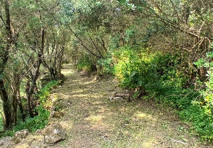 Villa i Cascais, Lisbon, Cascais - € 750.000 | Ref: DH376 - foto 1