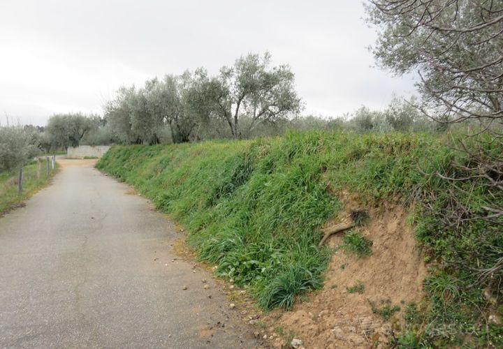 Helårsgrund i Tarouca, Viseu, Tarouca - € 18.000 | Ref: LMG_3809 - N C - foto 1