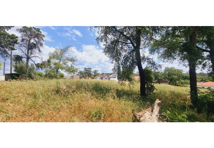 Terra a Monte Real, Leiria, Monte Real - € 280.000 | Ref: TER_182 - foto 1