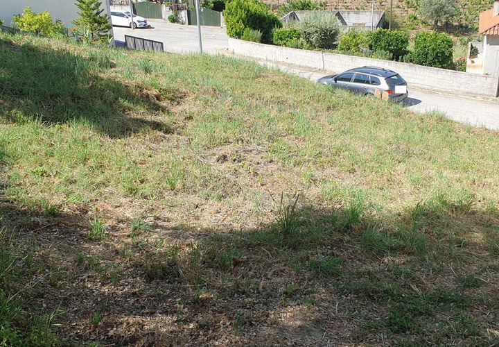 Terra a Armamar, Viseu, Armamar - € 27.900 | Ref: 803231004 - foto 1
