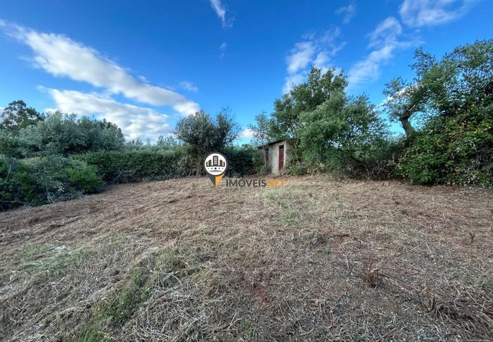 Helårsgrund i Castelo Branco, Castelo Branco, Castelo Branco - € 21.000 | Ref: 2584 - foto 1