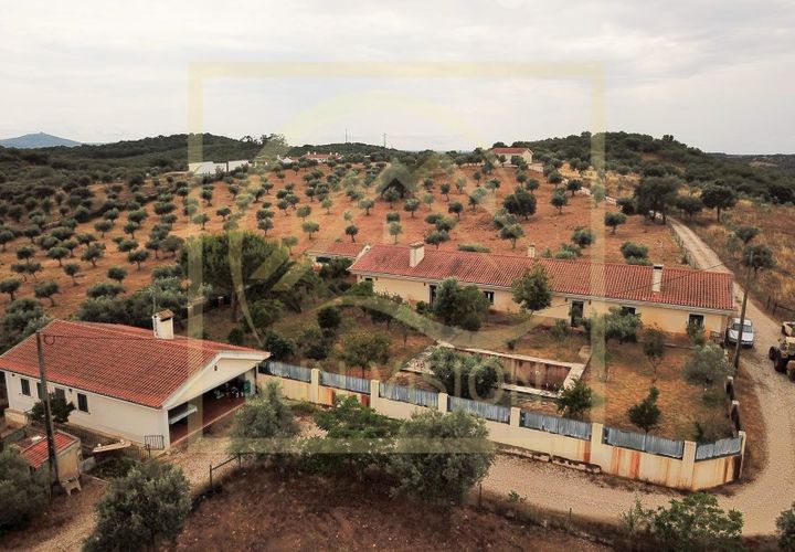 Farm i Estremoz, Evora, Estremoz - € 1.200.000 | Ref: SV_QUI596 - foto 1