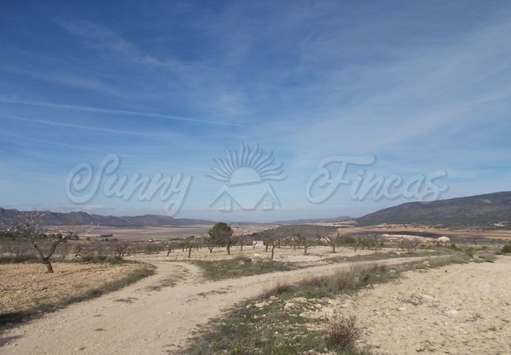 Helårsgrund i Yecla, Murcia, Yecla - € 55.000 | Ref: SF0035 - foto 1