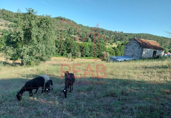 Terra a Boticas, Vila Real, Boticas - € 49.000 | Ref: 100/2023 - foto 1
