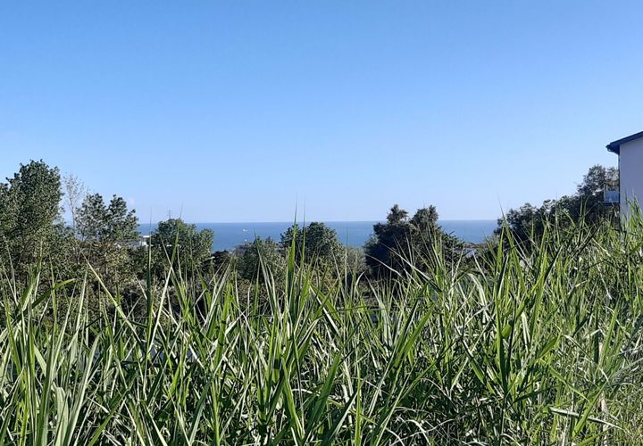 Helårsgrund i Buarcos, Coimbra, Buarcos - € 250.000 | Ref: 350TR - foto 1