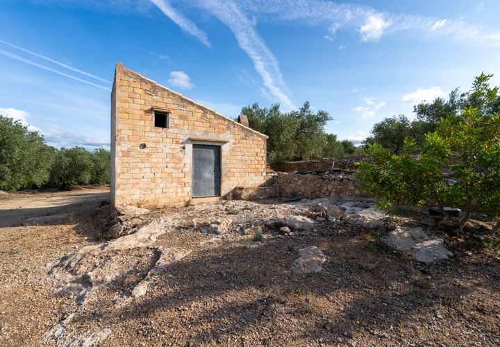 Finca i Tortosa, Tarragona, Tortosa - € 38.000 | Ref: 900 - foto 1