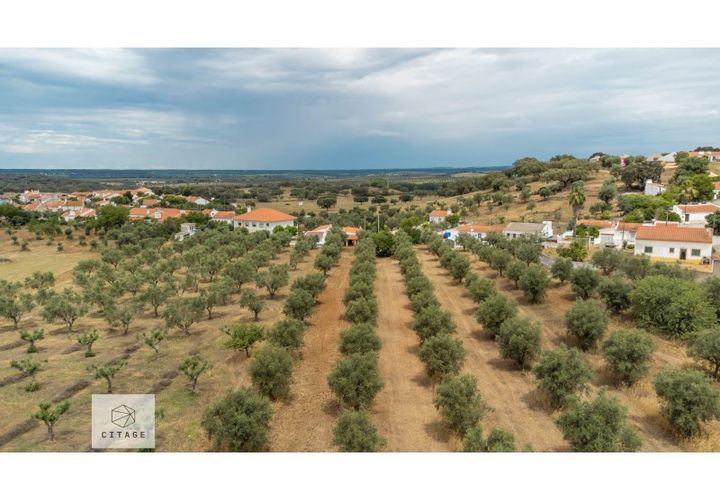 Farm hus i Avis, Portalegre, Avis - € 310.000 | Ref: Citage 138/23 - foto 1