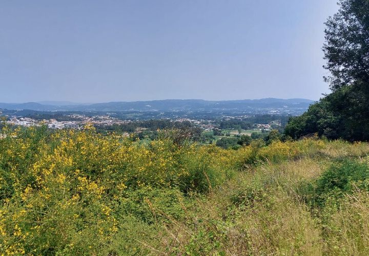 Farm i Vila Verde, Braga, Vila Verde - € 590.000 | Ref: 211663 - foto 1