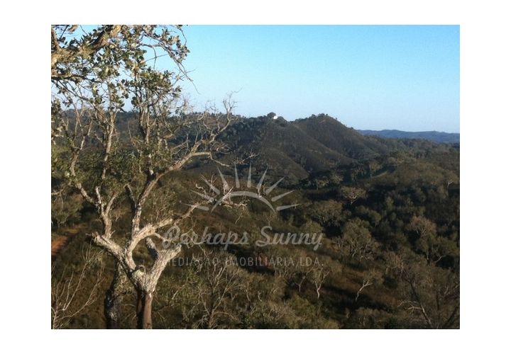 Landejendom i Colos, Beja, Colos - € 700.000 | Ref: PHS512/23 - foto 1