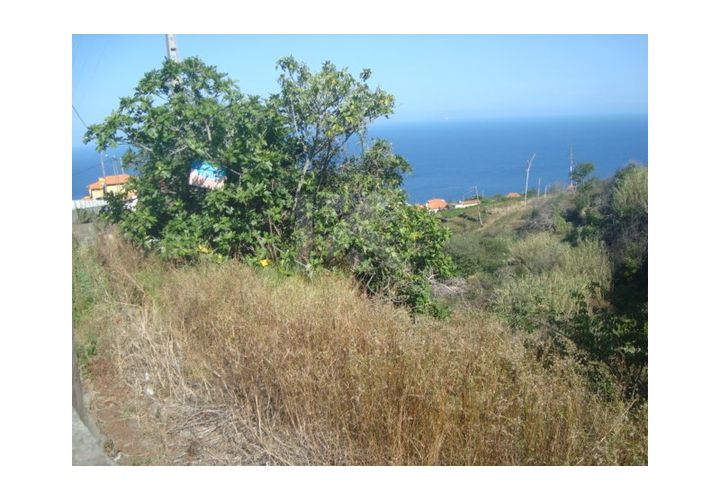 Helårsgrund i Gaula, Madeira, Gaula - € 55.000 | Ref: IK362SC - foto 1