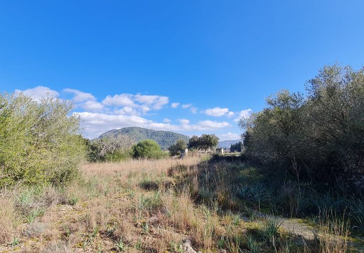 Terra a Sa Pobla, Mallorca, Sa Pobla - € 795.000 | Ref: 76384 - foto 1