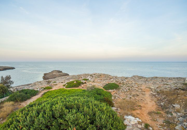 Terra a Cala d'Or, Mallorca, Cala d'Or - € 1.700.000 | Ref: 62868 - foto 1