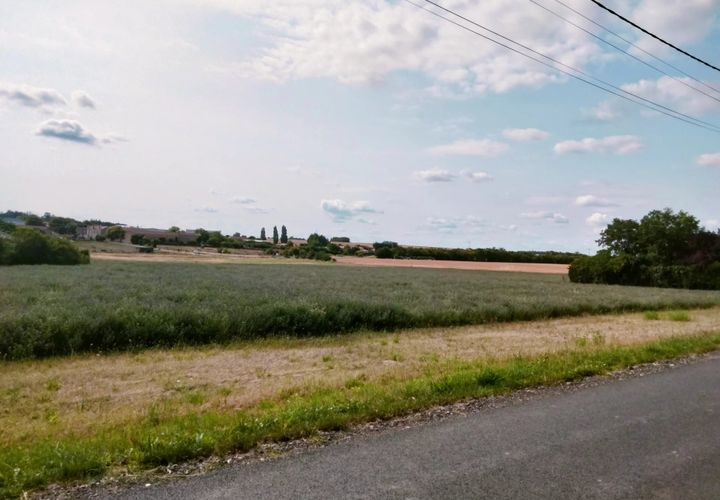 Terra a Champigny-le-Sec, Vienne, Champigny-le-Sec - € 33.500 | Ref: 8628R - foto 1