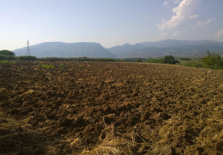Terra a Serre, Salerno, Serre - € 30.000 | Ref: 217 - foto 1
