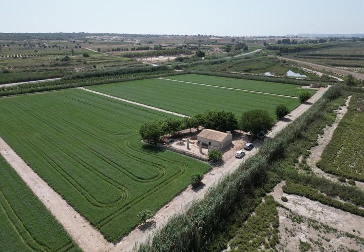 Landejendom i Elche, Alicante, Elche - € 149.000 | Ref: SP4288 - foto 1