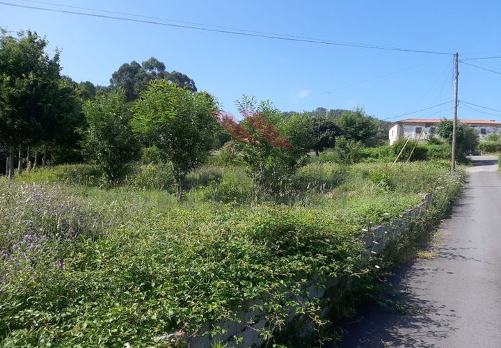 Helårsgrund i Ponte de Lima, Viana do Castelo, Ponte de Lima - € 55.000 | Ref: PTL-1130-JV-0723 - foto 1