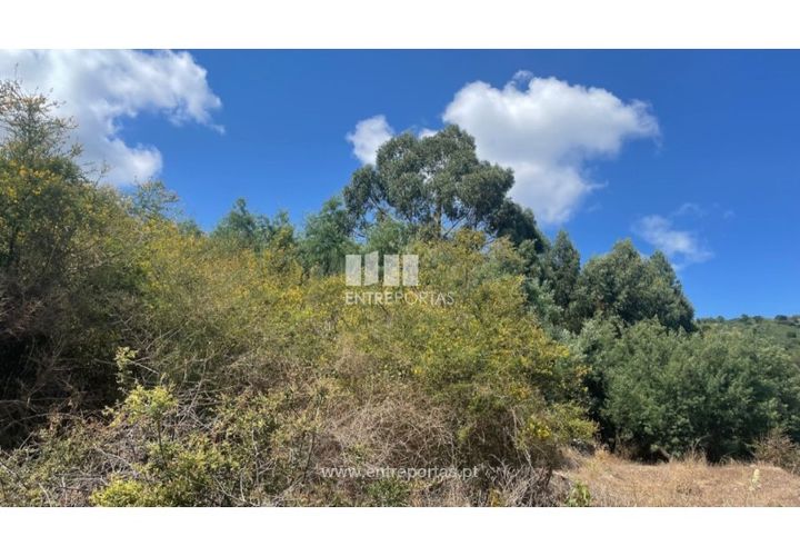 Helårsgrund i Barroselas, Viana do Castelo, Barroselas - € 77.000 | Ref: VCC14132 - foto 1
