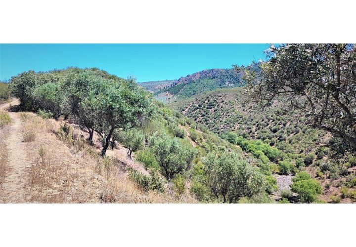 Helårsgrund i Nisa, Portalegre, Nisa - € 13.000 | Ref: SÒL_312 - foto 1