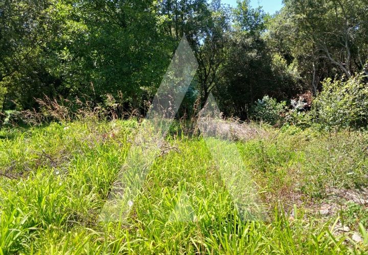 Helårsgrund i Murtosa, Aveiro, Murtosa - € 11.000 | Ref: 1060787/23 AL - foto 1