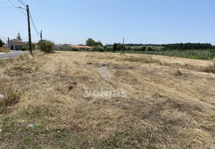 Helårsgrund i Santo Onofre e Serra do Bouro, Leiria, Santo Onofre e Serra do Bouro - € 225.000 | Ref: CAL-214517 - foto 1