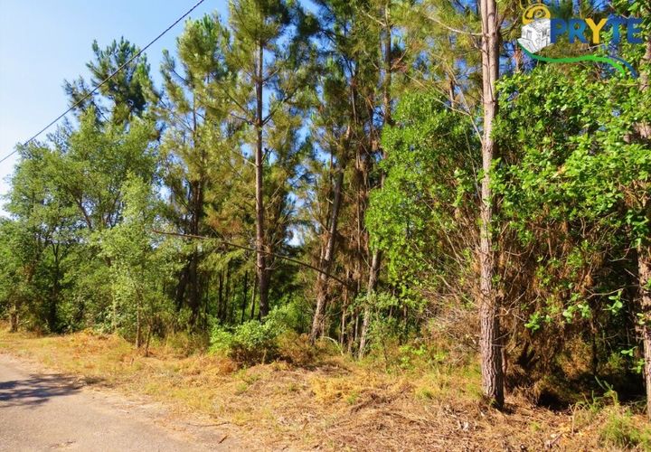 Helårsgrund i Serta, Castelo Branco, Serta - € 19.000 | Ref: MG125 - foto 1