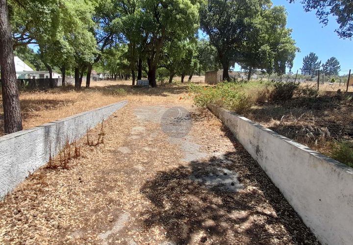 Terra a Chamusca, Santarem, Chamusca - € 45.000 | Ref: 1728 - foto 1