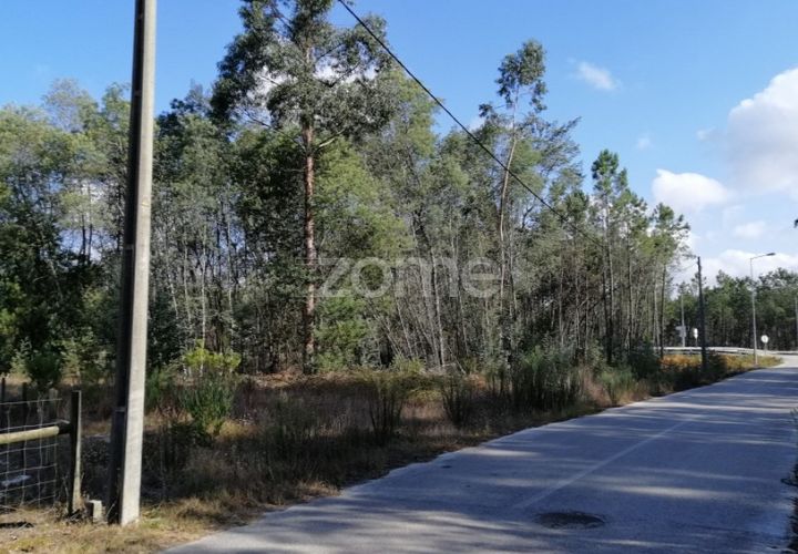 Helårsgrund i Cantanhede, Coimbra, Cantanhede - € 40.000 | Ref: ZMPT559383 - foto 1