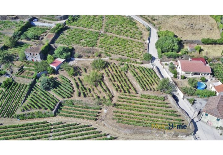 Helårsgrund i Sabrosa, Vila Real, Sabrosa - € 120.000 | Ref: MH2341 - foto 1
