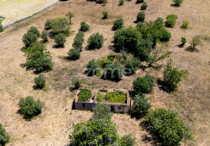 Helårsgrund i Tomar, Santarem, Tomar - € 238.000 | Ref: ZMPT559351 - foto 1