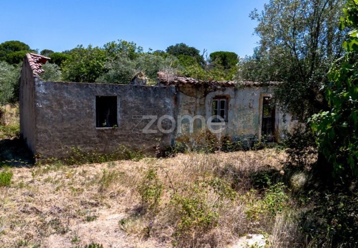 Terra a Tomar, Santarem, Tomar - € 238.000 | Ref: ZMPT559351 - foto 1