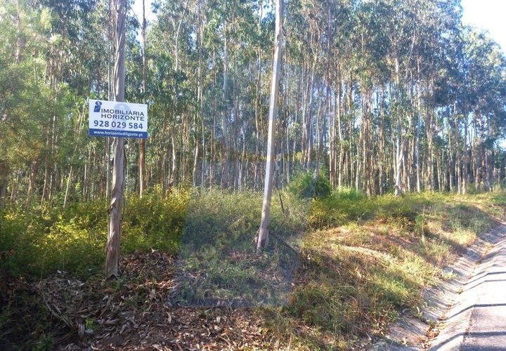 Helårsgrund i Barro, Aveiro, Barro - € 8.000 | Ref: TER_1039 - foto 1