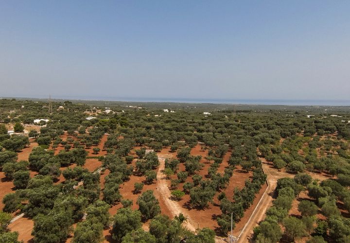 Villa i Carovigno, Brindisi, Carovigno - € 97.000 | Ref: 636 - foto 1