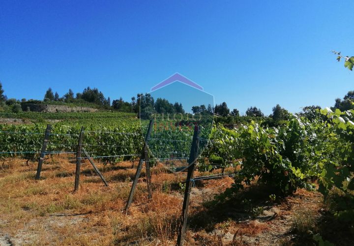Farm i Viseu, Viseu, Viseu - € 220.000 | Ref: 2023/V - foto 1
