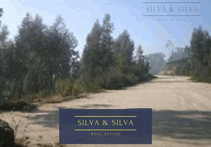 Terra a Seroa, Porto, Seroa - € 631.000 | Ref: TER_150 - foto 1