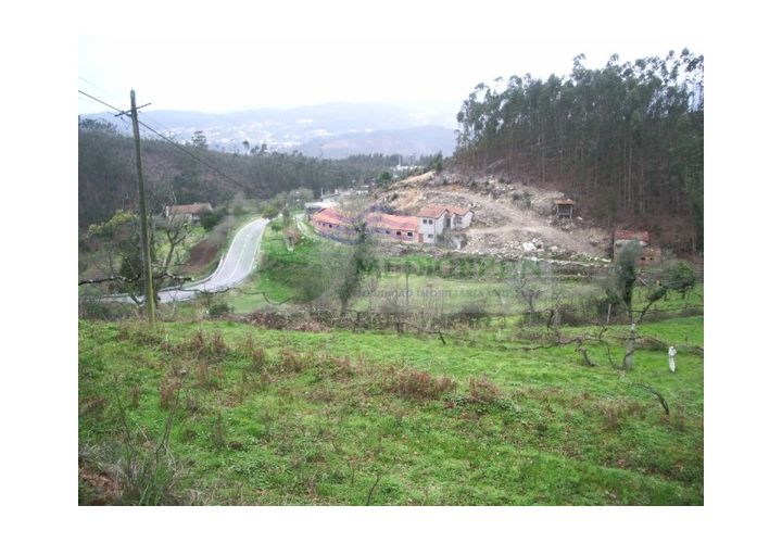 Farm i Sever do Vouga, Aveiro, Sever do Vouga - € 150.000 | Ref: VIL_647 - foto 1