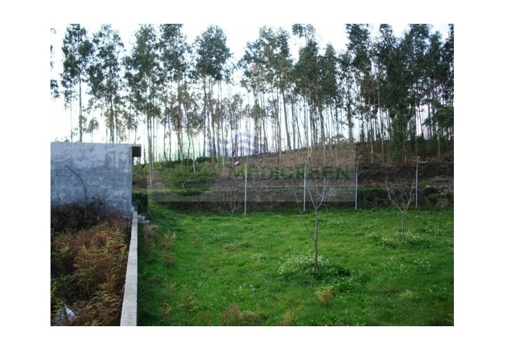 Helårsgrund i Sever do Vouga, Aveiro, Sever do Vouga - € 37.500 | Ref: TER_97 - foto 1